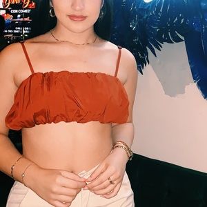 Rust Colored Pleated Crop Top